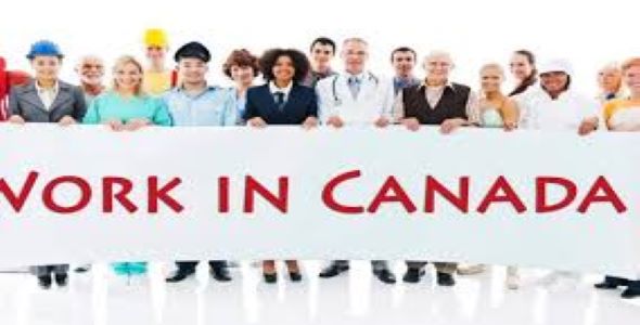 چه کسی در کانادا اجازه کار دارد؟